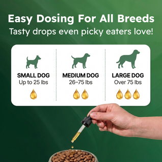 Medipooch Tummy Cleanse - Herbal Gut Cleanse for Dogs