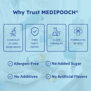 Medipooch Eye Boost - Daily Eye Health & Vision Support for Dogs