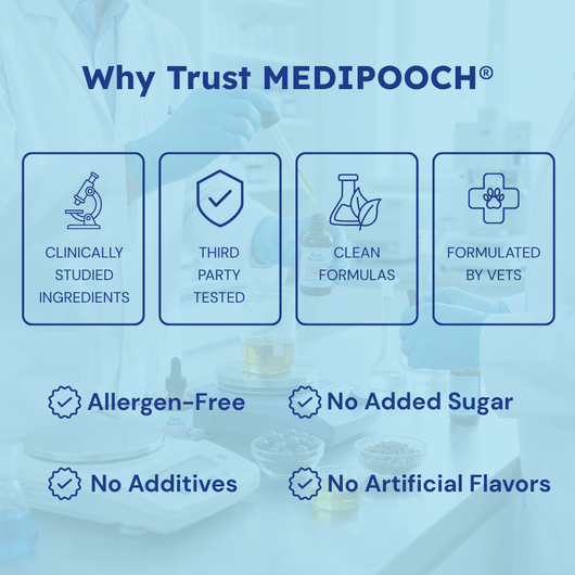 Medipooch Eye Boost - Daily Eye Health & Vision Support for Dogs