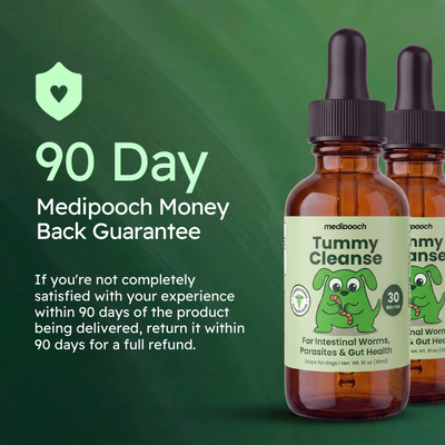Medipooch Tummy Cleanse - Herbal Gut Cleanse for Dogs