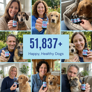 Medipooch Eye Boost - Daily Eye Health & Vision Support for Dogs