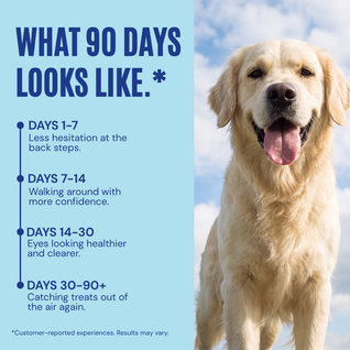 Medipooch Eye Boost - Daily Eye Health & Vision Support for Dogs