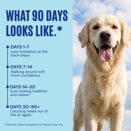 Medipooch Eye Boost - Daily Eye Health & Vision Support for Dogs