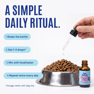 Medipooch Eye Boost - Daily Eye Health & Vision Support for Dogs