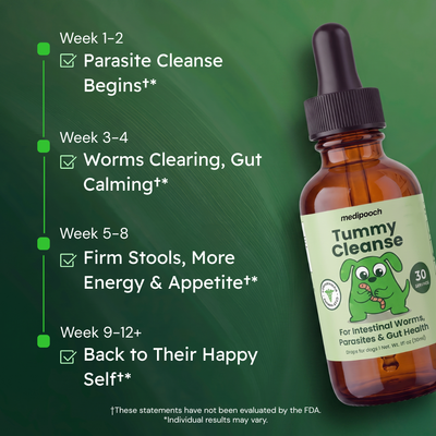 Medipooch Tummy Cleanse - Herbal Gut Cleanse for Dogs
