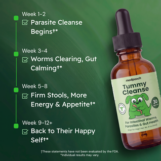 Medipooch Tummy Cleanse - Herbal Gut Cleanse for Dogs