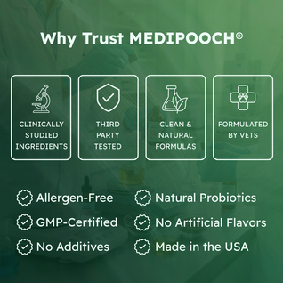 Medipooch Tummy Cleanse - Herbal Gut Cleanse for Dogs