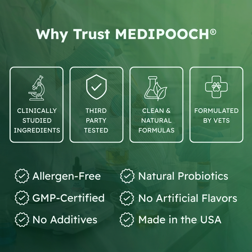 Medipooch Tummy Cleanse - Herbal Gut Cleanse for Dogs